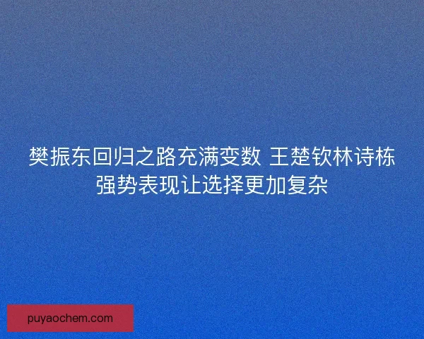 樊振东回归之路充满变数 王楚钦林诗栋强势表现让选择更加复杂 樊振东回归之路充满变数 王楚钦林诗栋强势表现让选择更加复杂