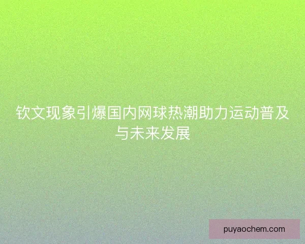 钦文现象引爆国内网球热潮助力运动普及与未来发展 钦文现象引爆国内网球热潮助力运动普及与未来发展