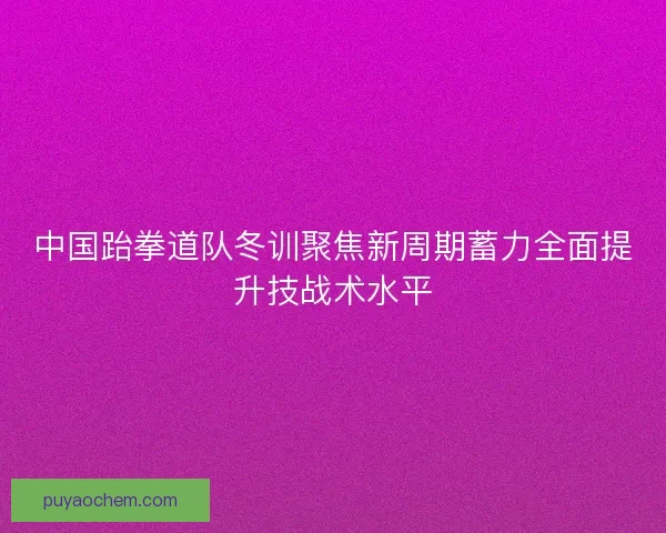 中国跆拳道队冬训聚焦新周期蓄力全面提升技战术水平