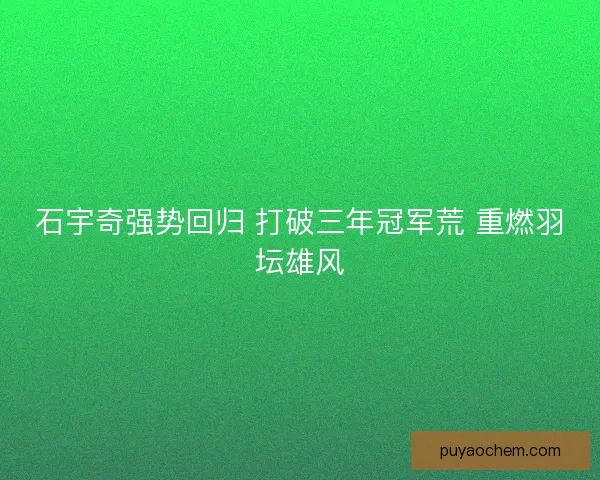 石宇奇强势回归 打破三年冠军荒 重燃羽坛雄风 石宇奇强势回归 打破三年冠军荒 重燃羽坛雄风