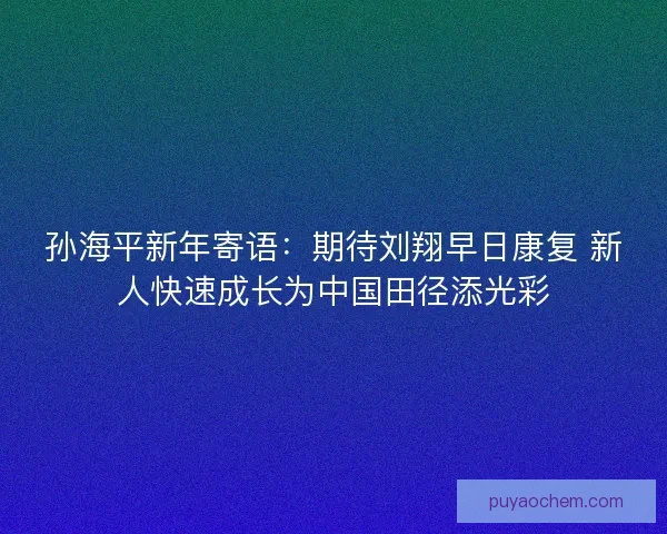 孙海平新年寄语：期待刘翔早日康复 新人快速成长为中国田径添光彩