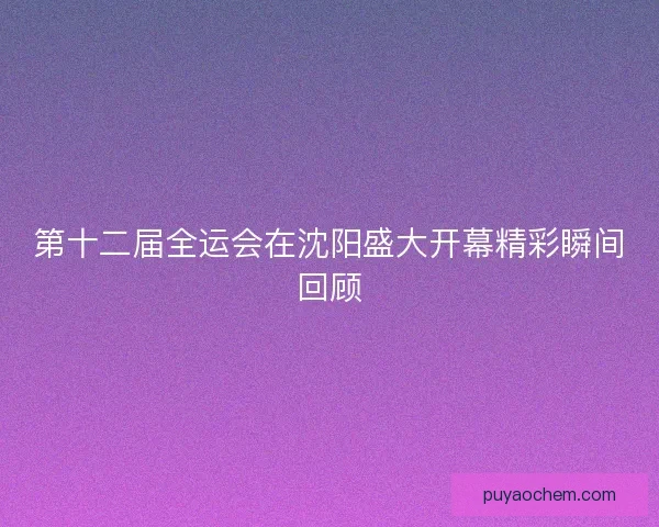 第十二届全运会在沈阳盛大开幕精彩瞬间回顾 第十二届全运会在沈阳盛大开幕精彩瞬间回顾